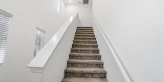 556 Enzo Street Gallery 19