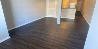 Harney Street Apartments Gallery 20