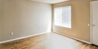 1506 Lemon Tree Lane Gallery 11