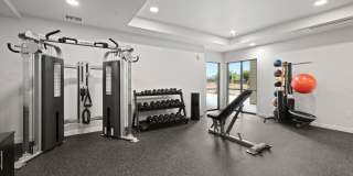 The Oliveen Gallery 21