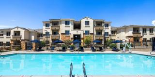 Olympus Alameda Gallery 33