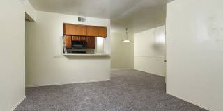 Stoneleigh Apartments Gallery 15