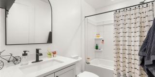 6 Sun Lily Lane Gallery 25