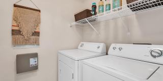 The Graham Gallery 20