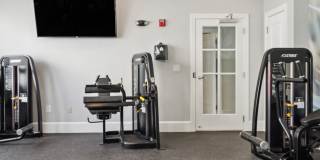 Sofi Danvers Gallery 25