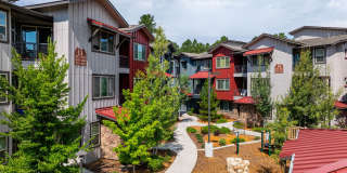 Mountain Trail Gallery 19