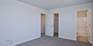 332 Trestle Tree Gallery 21