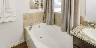 5311 Serene Hills Dr Gallery 9