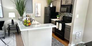 Windsong Village Gallery 1