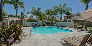 Bright & Spacious, 4BR3BA Home in the Private, Gated Community w/ 2 Pools, Clubhouse, Playground & Greenbelts Close to Everything! Bright & Spacious, 4BR3BA Home in the Private, Gated Community w/ 2 Pools, Clubhouse, Playground & Greenbelts Close to Everything! Gallery 9