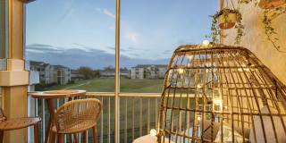 8103 COCONUT PALM Way Gallery 22