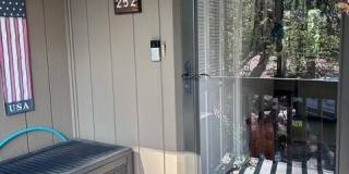 250 Sugar Gum Lane Gallery 20