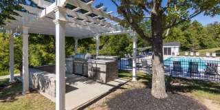 The Trails of Saddlebrook Gallery 64