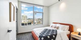 The Confidential The Confidential Gallery 21