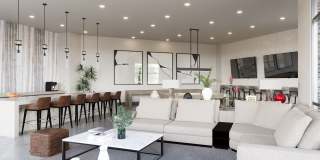 Evergreen at Whisper Valley Gallery 3