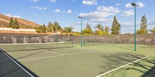 Sofi at Wood Ranch Gallery 24