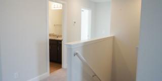 25 Sago Palm Way Gallery 33