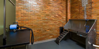 The Standard The Standard Gallery 43