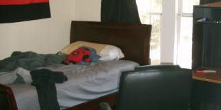 Huge 3 Bedroom, 1 Bathroom Apartment Steps From UF in Fifth Avenue Gallery 12