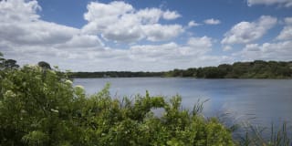 Lakeshore at Altamonte Springs Gallery 55