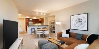 Domicilio Gallery 18