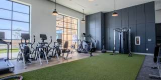 The Josephine The Josephine Gallery 18