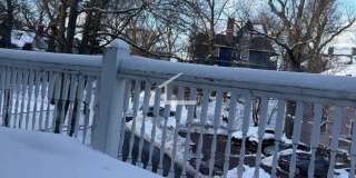 144 Kilsyth Rd #3C Boston MA 02135 Gallery 13