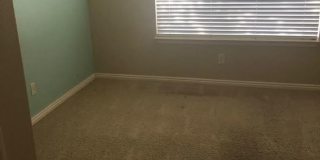 Wonderful 3 bed / 2 bath Condo with a pool Gallery 14