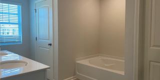 2202 Blue Monarch Drive Gallery 10