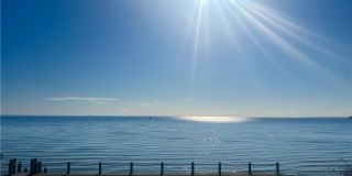 185 Melba Street unit: Apt 201 185 Melba Street unit: Apt 201 Gallery 1