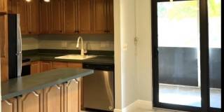4121 Oak Terrace Drive Gallery 6