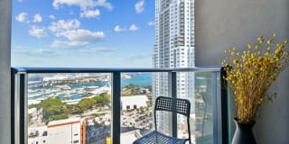 Alea Miami Gallery 48