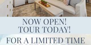 Indigo Cove Gallery 21
