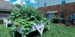 Richland Falls Gallery 10