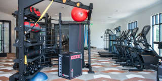 NOVEL Davidson Gallery 18