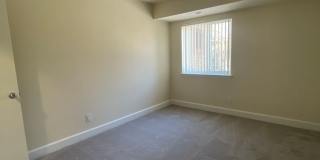 Northgate Gallery 165