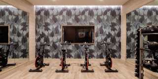 Denizen Gallery 11