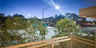 81 Waldorf Gallery 6