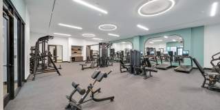 Piper Piper Gallery 20