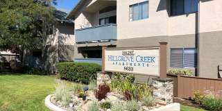 Hillgrove Creek Gallery 15