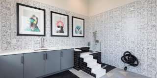 Lake Nona Kelson Gallery 29