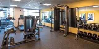 The Guild at MOSAIC Gallery 11