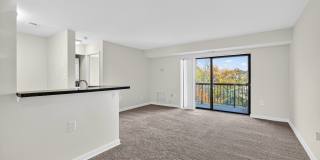 The Cloisters Gallery 29