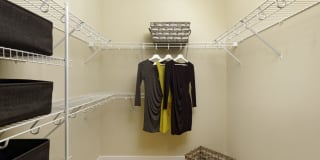 Avalon Laurel Gallery 19