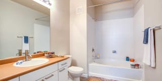 Ironhorse at Tramonto Gallery 19