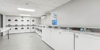 Oliver on LaSalle Gallery 7