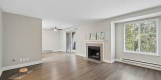 Avana Chestnut Hill Gallery 25