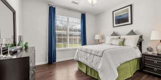 Canyon Vistas Gallery 6