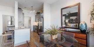 Domain at Kirby Gallery 29