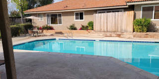 Sierra Vista Gallery 15